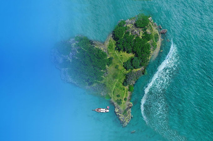 海葬、花葬、树葬……多种多样的生态骨灰安葬渐成新选择