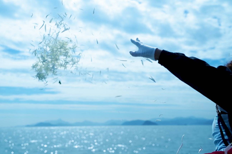 亲人逝去想要海葬自己私自去大海撒骨灰可以吗？