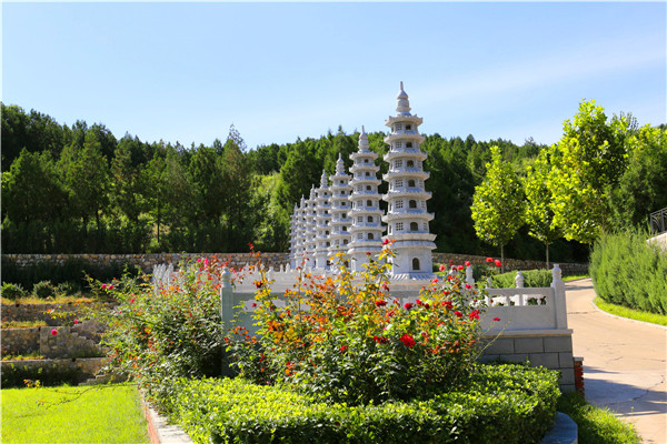 清明祭，观墓园人间百态丨安灵预约生态环保海葬报名开启